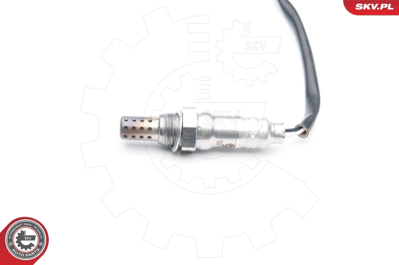 Oxygen Sensor 09SKV731