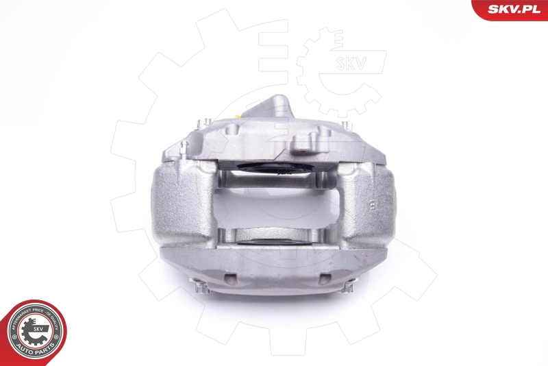 Brake Caliper 42SKV451