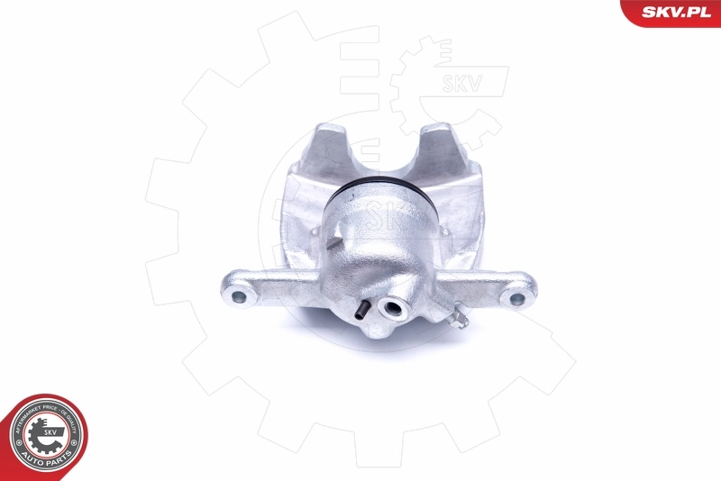 Brake Caliper 42SKV941