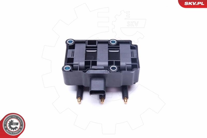 Ignition Coil 03SKV248