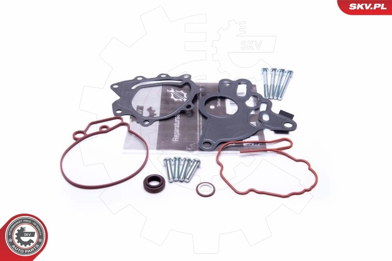 Repair Set, vacuum pump (braking system) 18SKV804