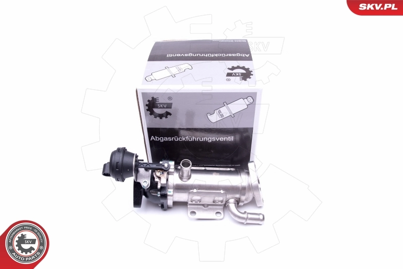 Cooler, exhaust gas recirculation 14SKV227