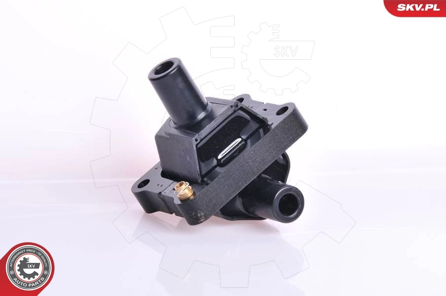 Ignition Coil 03SKV017