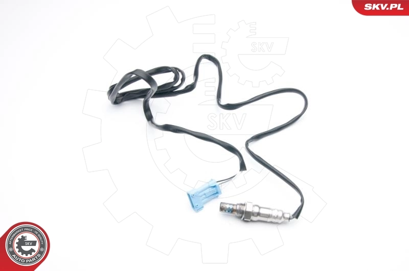 Oxygen Sensor 09SKV704