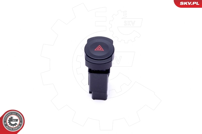 Hazard Warning Light Switch 36SKV720