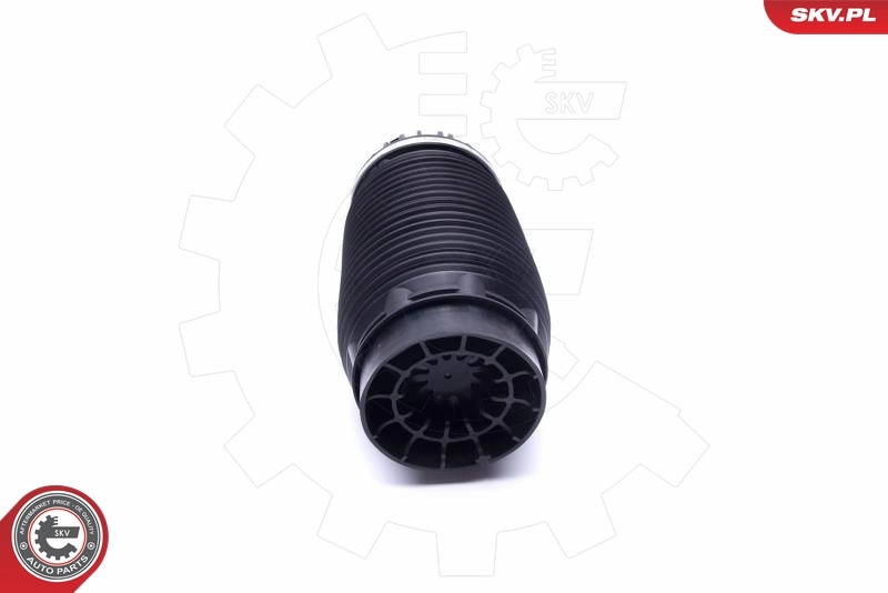Air Spring, suspension 58SKV056