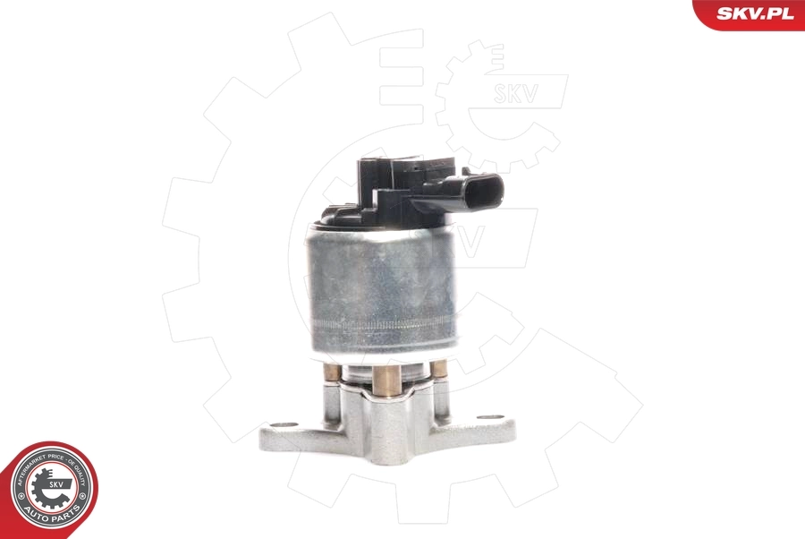 EGR Valve 14SKV017