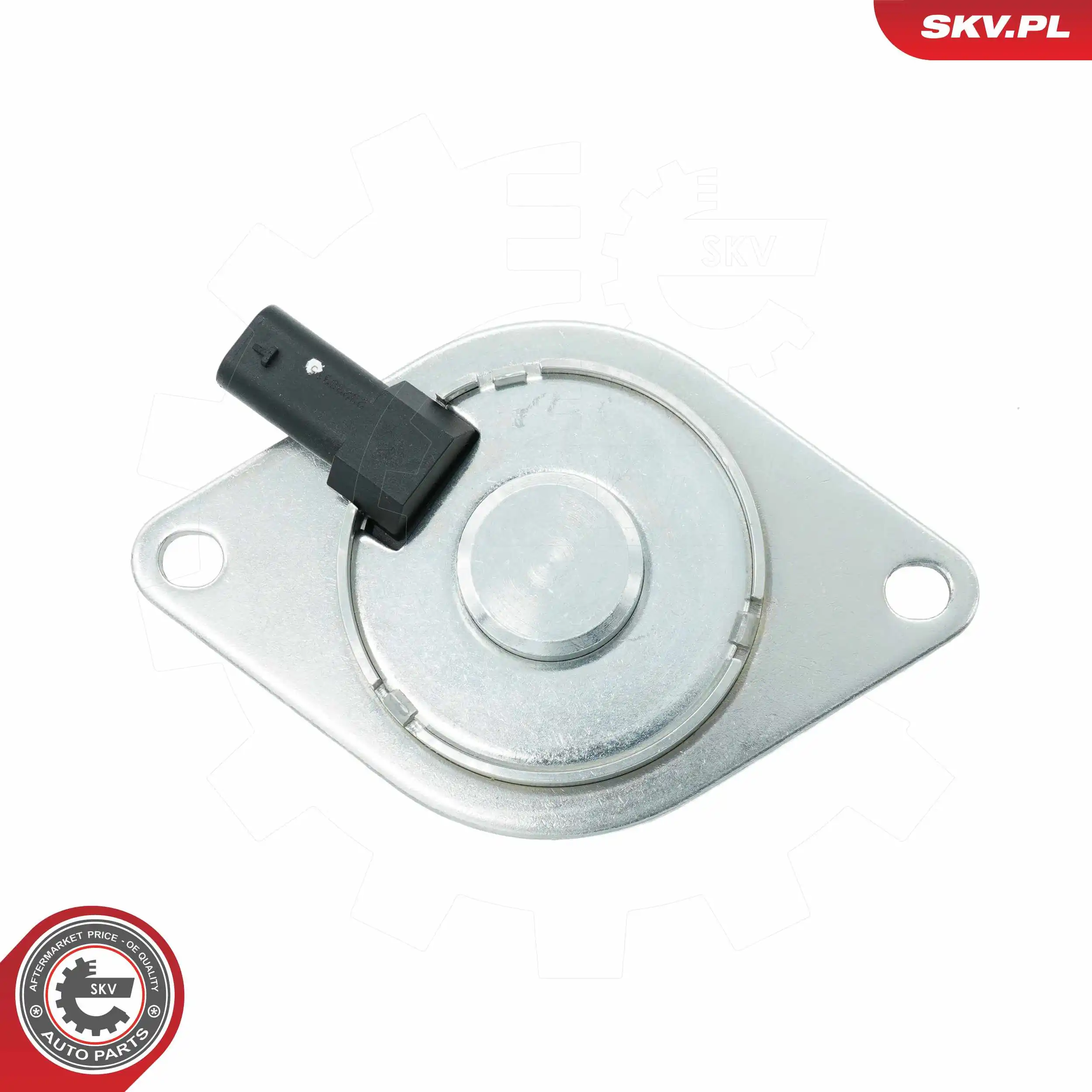 Central Magnet, camshaft adjustment 39SKV902