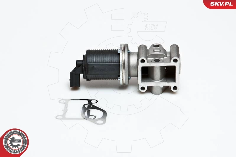 EGR Valve 14SKV012