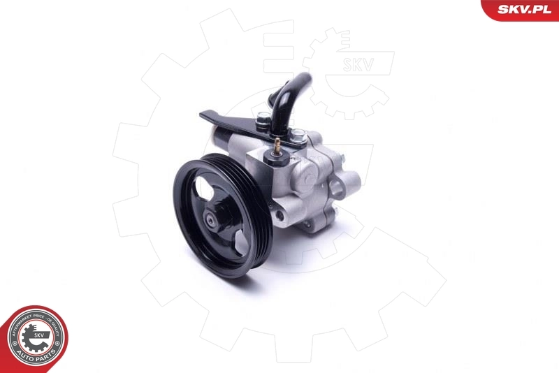 Hydraulic Pump, steering 10SKV301