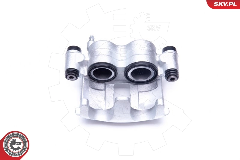 Brake Caliper 42SKV881