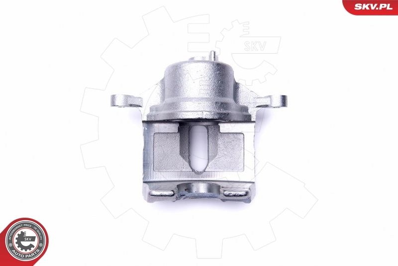 Brake Caliper 46SKV851