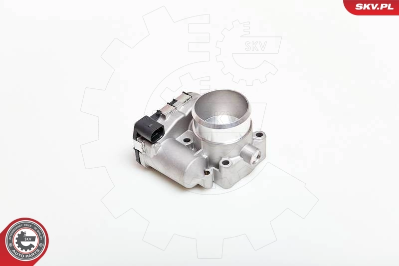 Throttle Body 12SKV039
