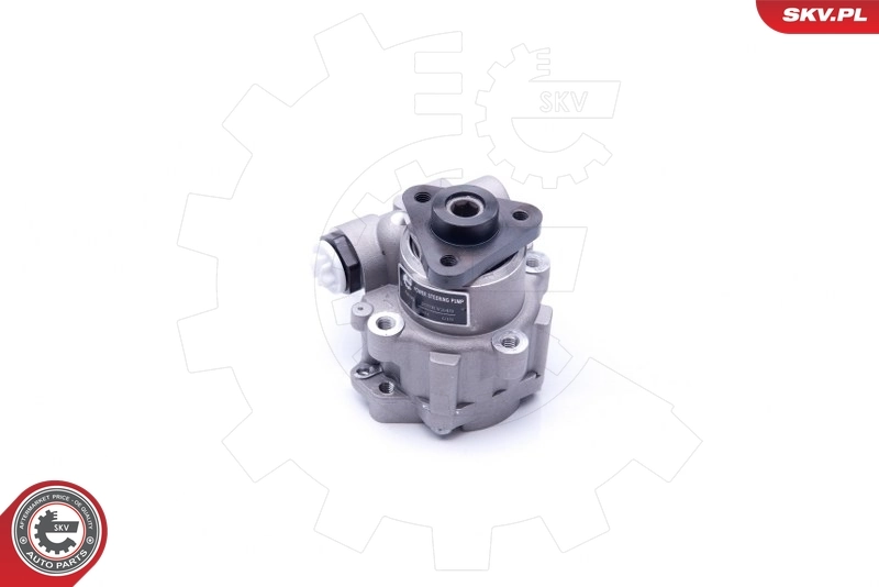 Hydraulic Pump, steering 10SKV249