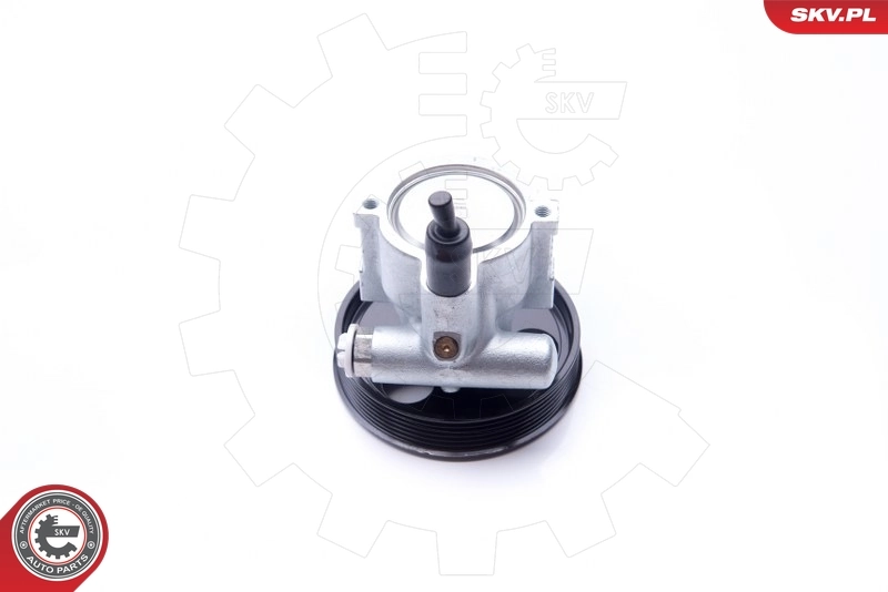 Hydraulic Pump, steering 10SKV232