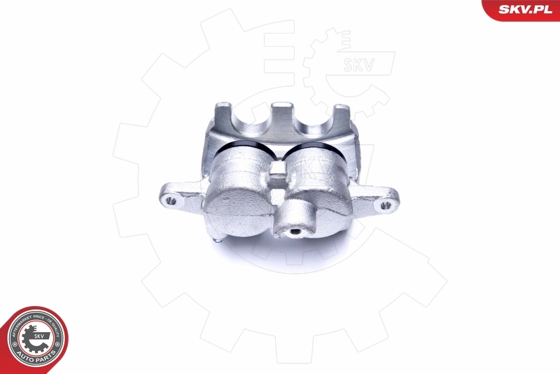Brake Caliper 44SKV621