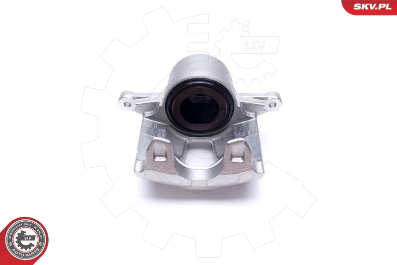 Brake Caliper 50SKV132