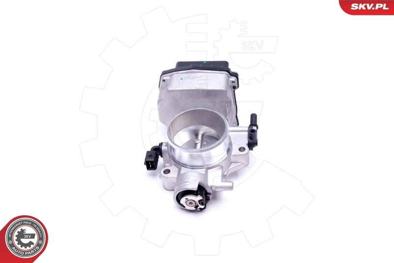 Throttle Body 12SKV071