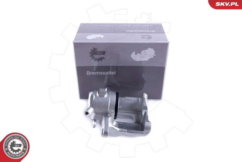 Brake Caliper 55SKV051