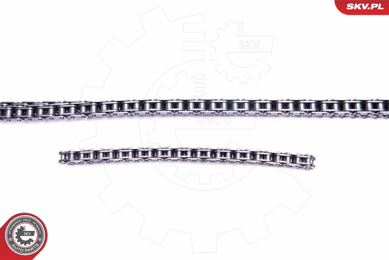 Timing Chain Kit 21SKV198