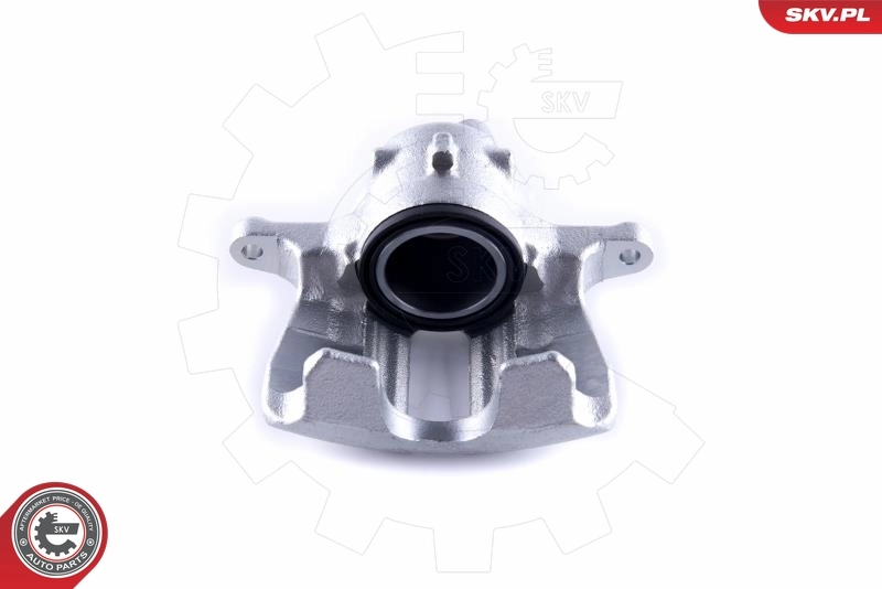 Brake Caliper 55SKV392