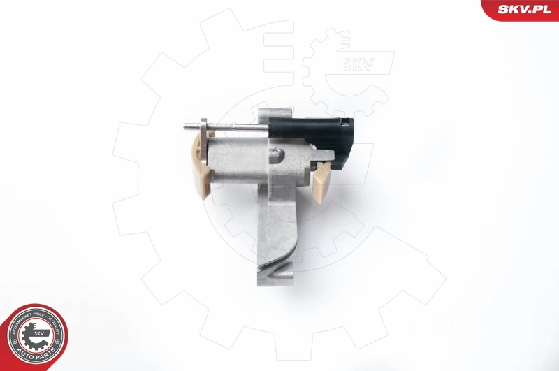 Timing Chain Kit 21SKV010