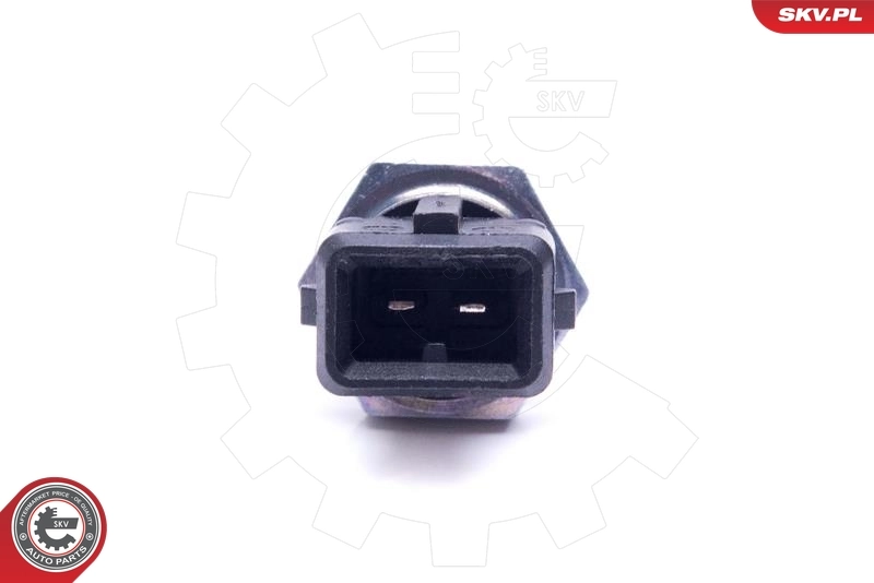 Sensor, intake air temperature 17SKV686