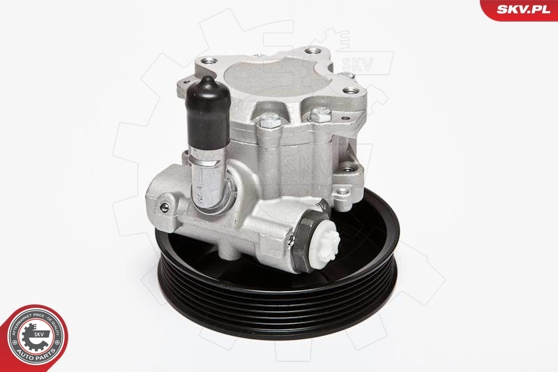 Hydraulic Pump, steering 10SKV063