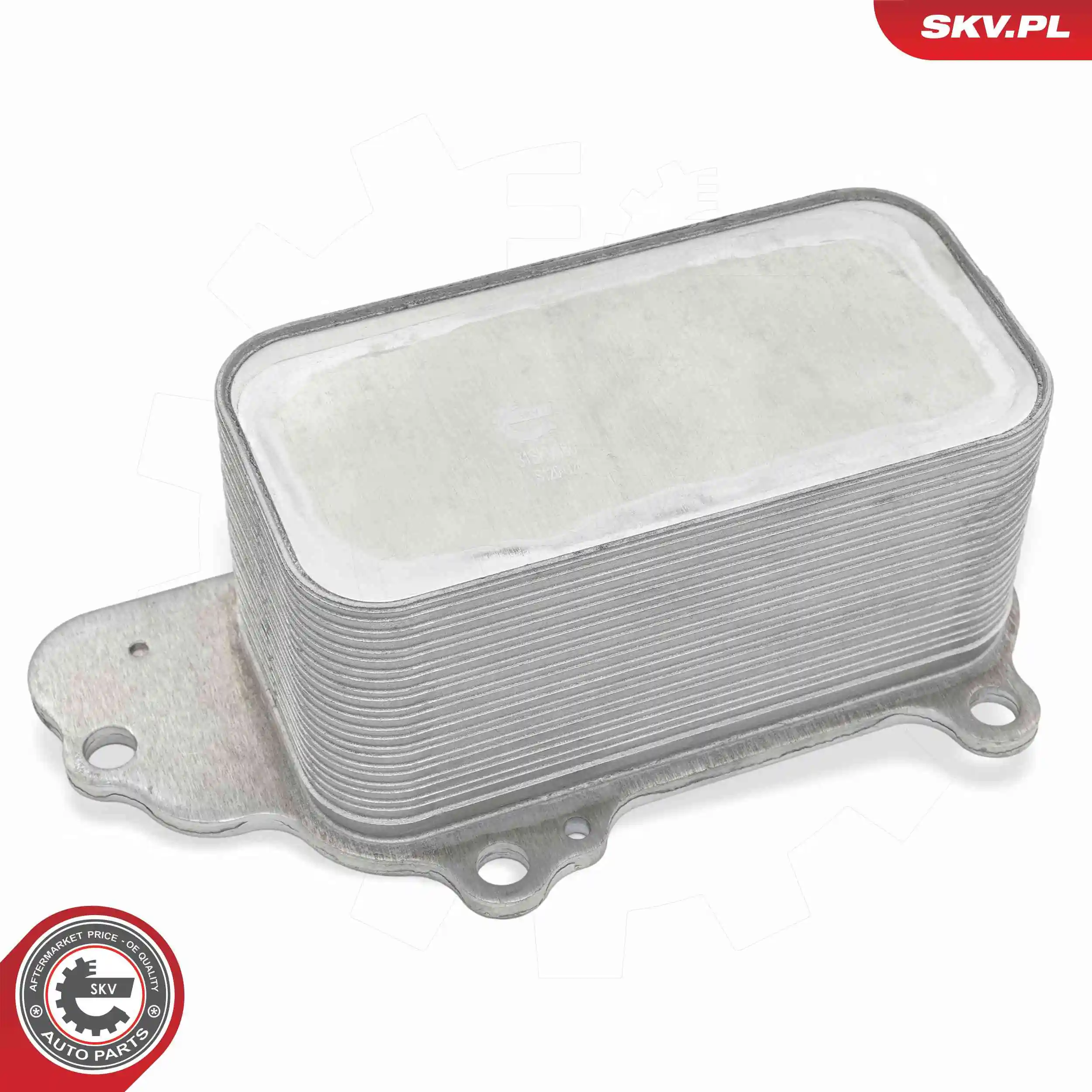Oil Cooler, engine oil 31SKV380
