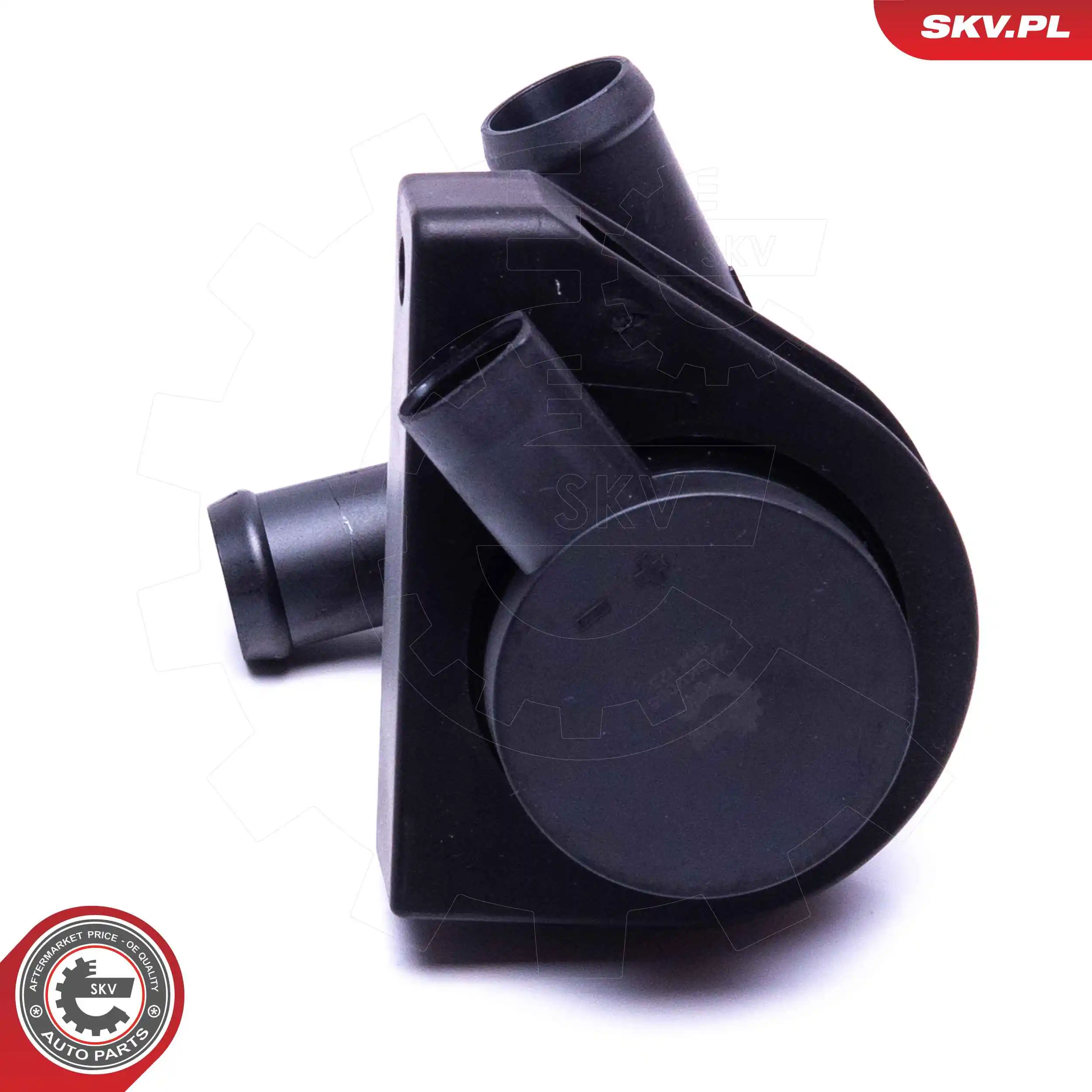 Auxiliary Water Pump (cooling water circuit) 22SKV065