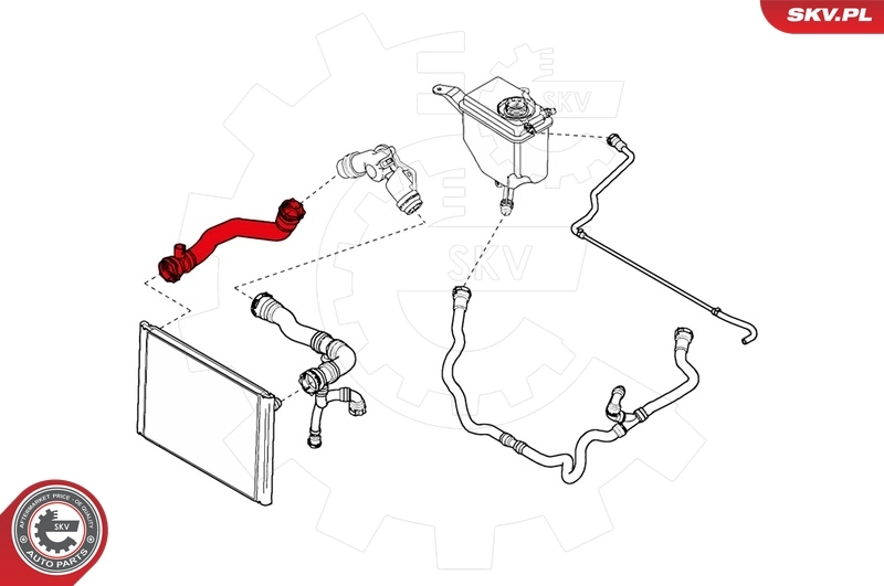 Radiator Hose 24SKV247