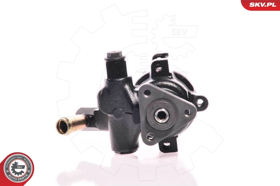 Hydraulic Pump, steering 10SKV175