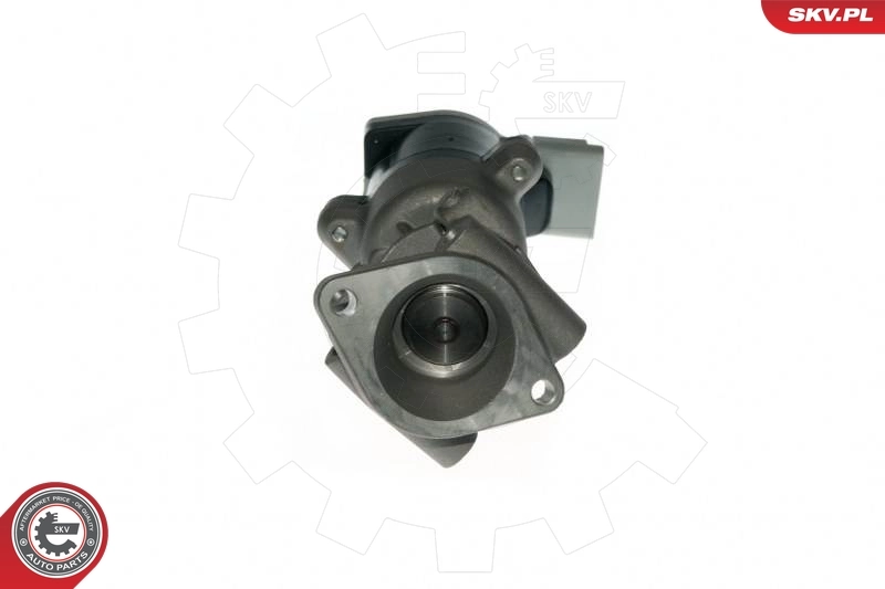 EGR Valve 14SKV089
