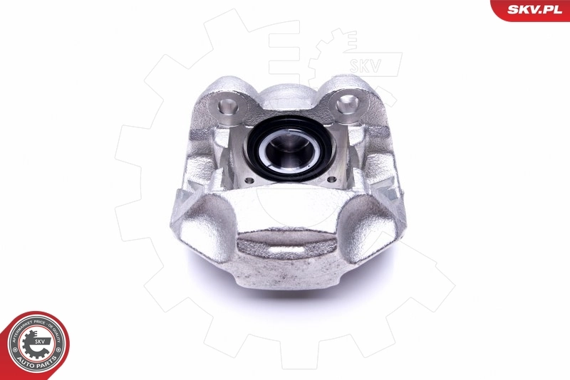 Brake Caliper 45SKV441