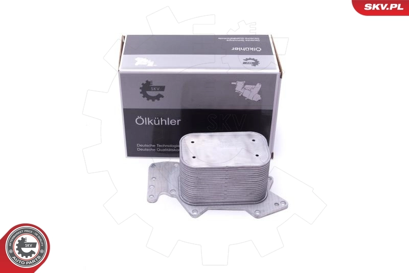 Oil Cooler, engine oil 31SKV213