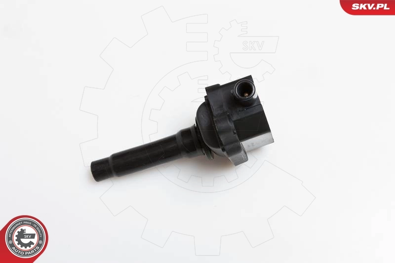 Ignition Coil 03SKV149