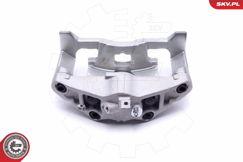 Brake Caliper 55SKV831