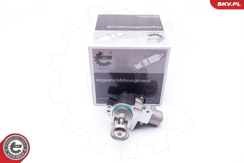 EGR Valve 14SKV172
