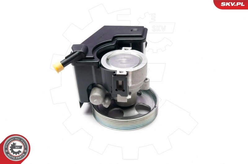 Hydraulic Pump, steering 10SKV231