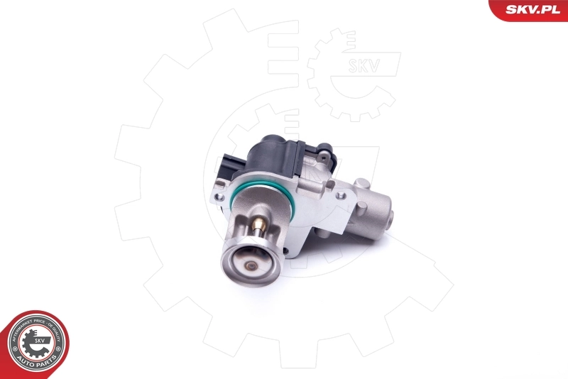 EGR Valve 14SKV172