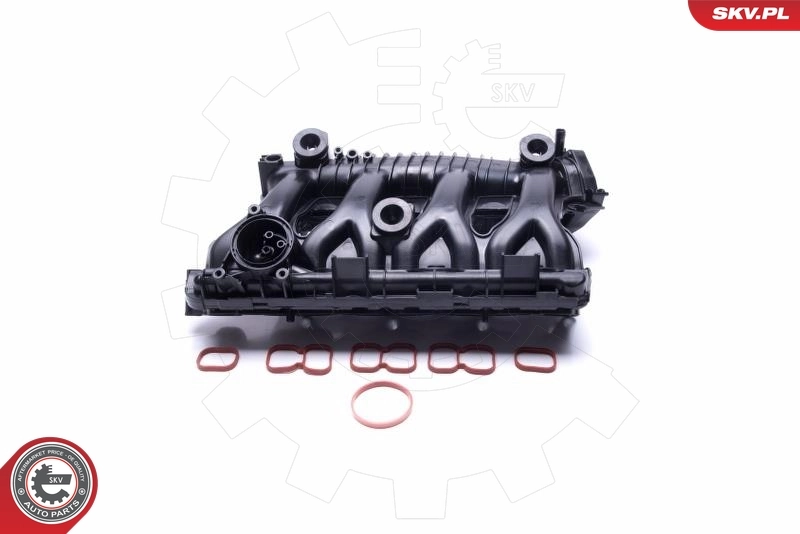 Intake Manifold Module 49SKV025