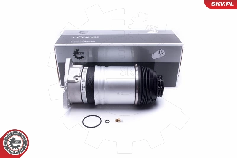Air Suspension Strut 58SKV068