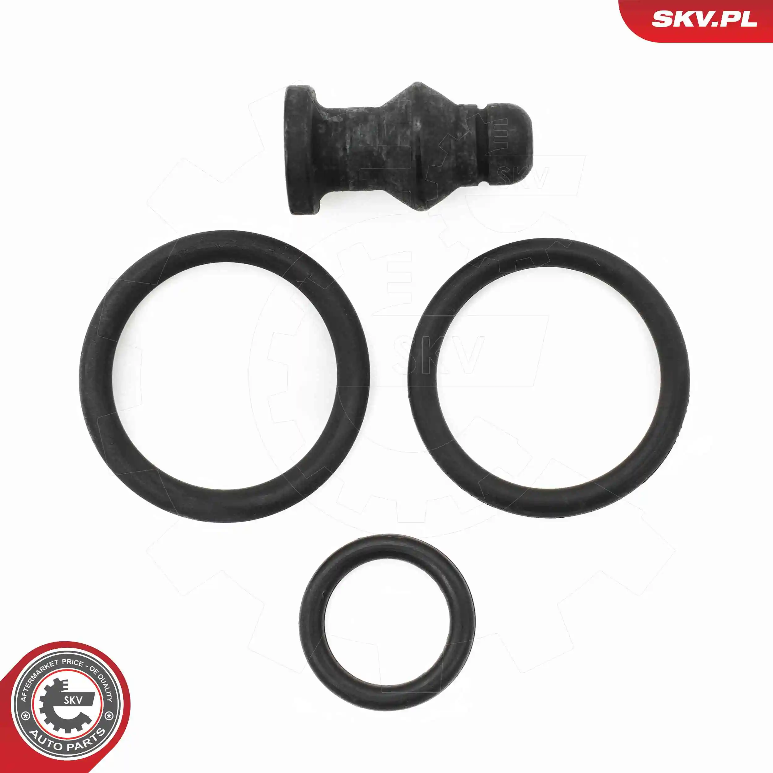 Repair Kit, unit injector 53SKV197