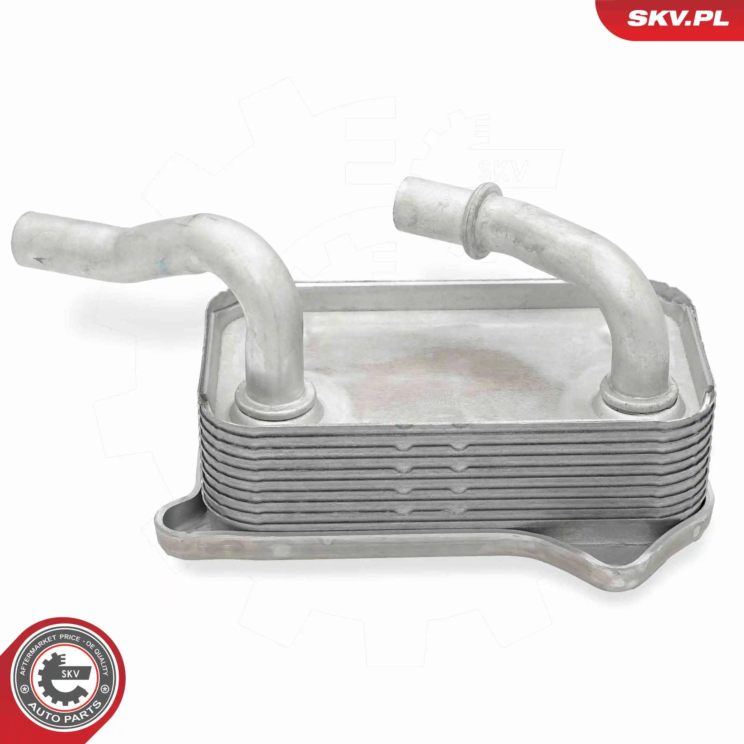 Oil Cooler, engine oil 31SKV295