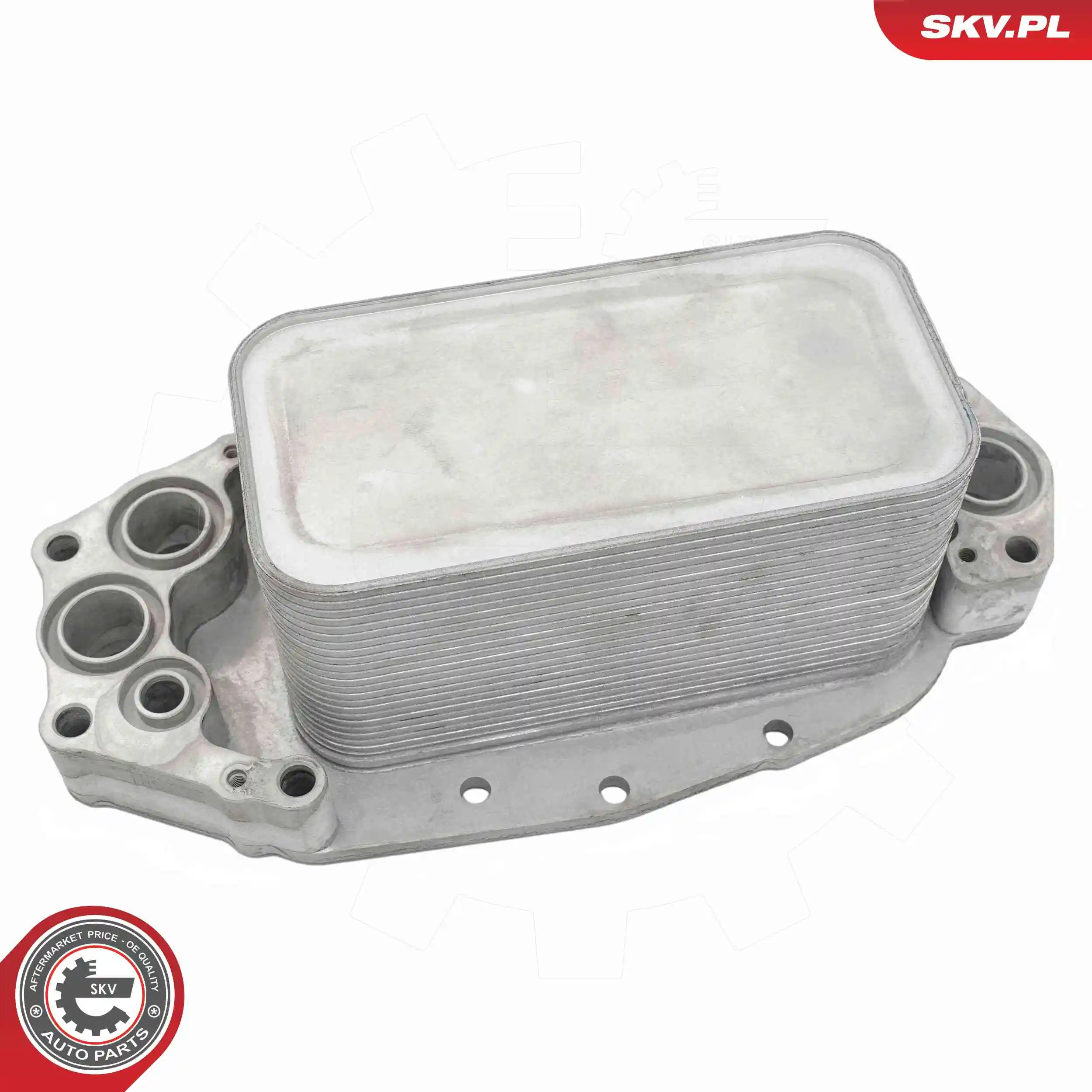 Oil Cooler, engine oil 31SKV369