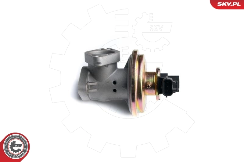EGR Valve 14SKV097