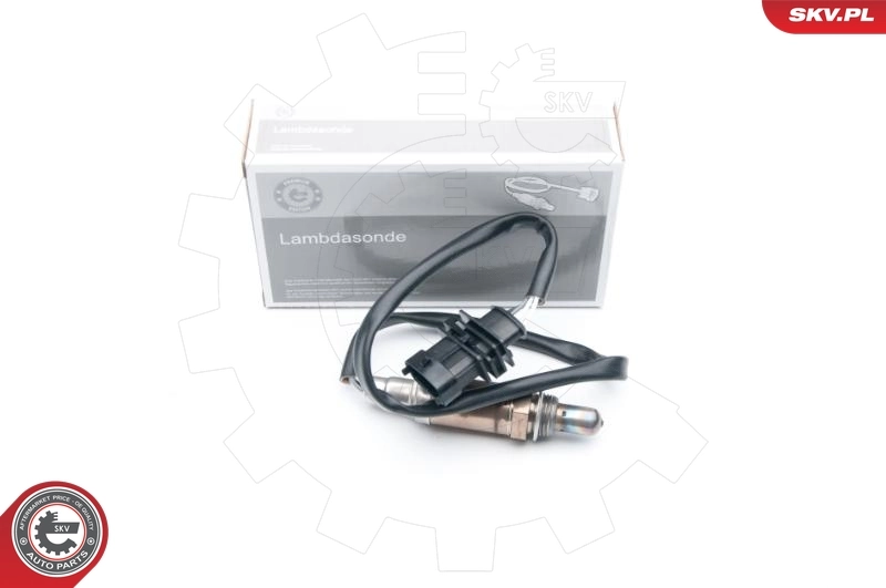Oxygen Sensor 09SKV669