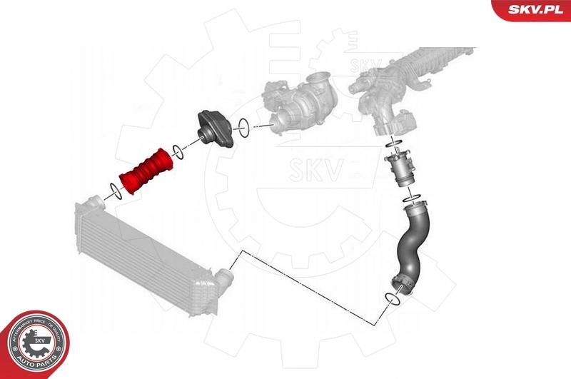 Charge Air Hose 43SKV370