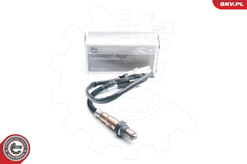 Oxygen Sensor 09SKV863
