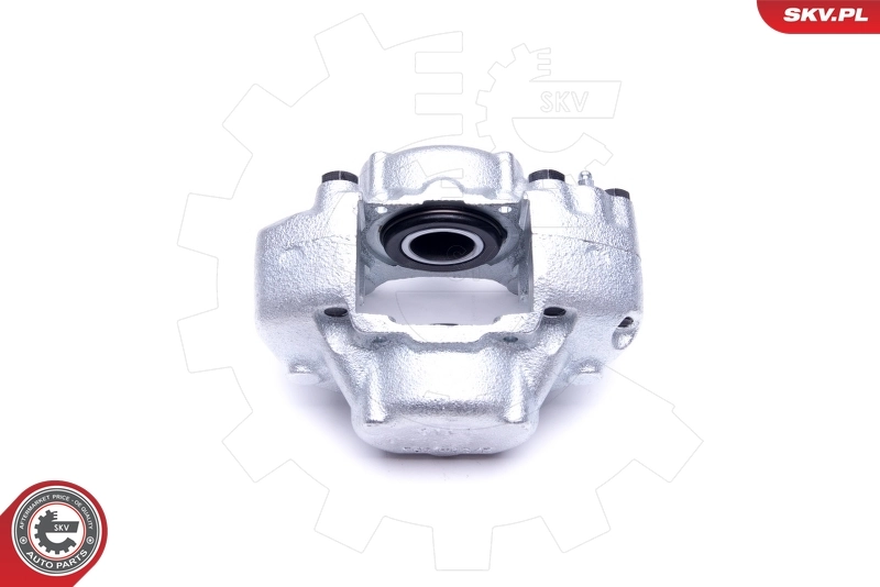 Brake Caliper 45SKV994